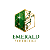 es logo 2